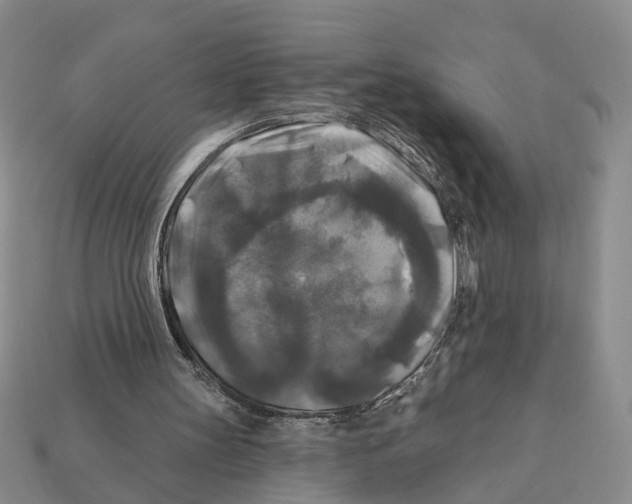 X0000112200147200909181540