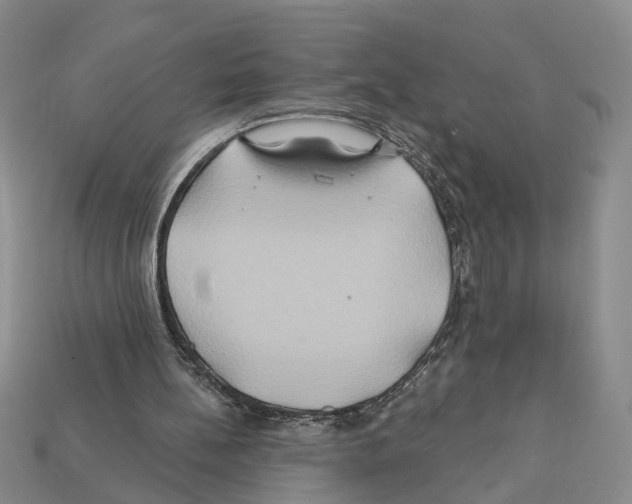 X0000112200148200909181540