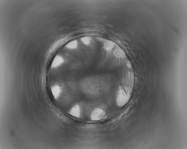 X0000112200149200909181540