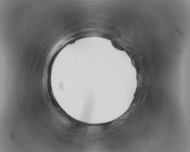 X0000112200150200909181540