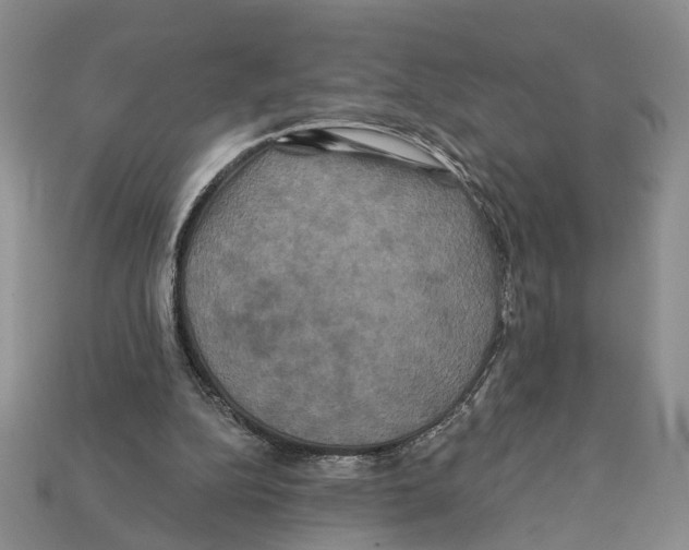 X0000112200152200909181540