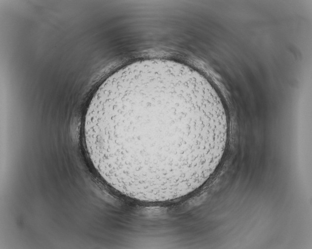 X0000112200153200909181540