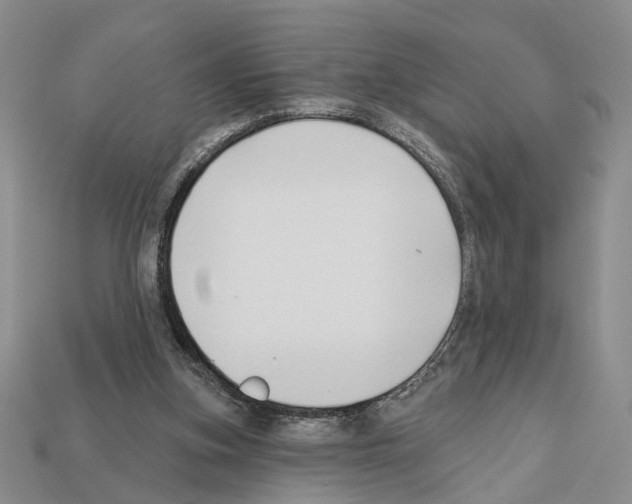 X0000112200155200909181540