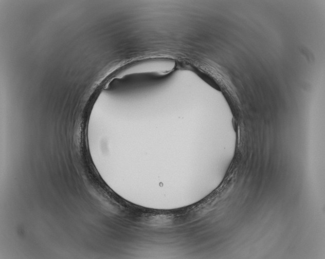 X0000112200156200909181540