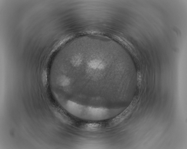 X0000112200158200909181541