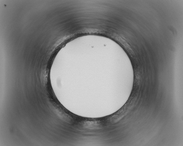 X0000112200160200909181541