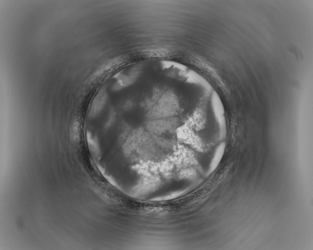 X0000112200161200909181541