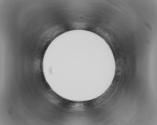 X0000112200162200909181541