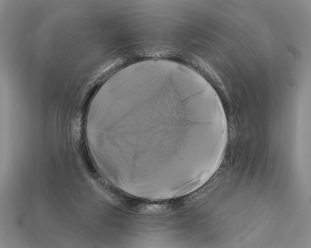 X0000112200163200909181541