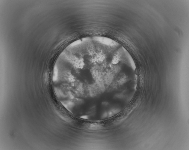 X0000112200165200909181541