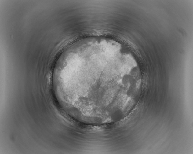 X0000112200166200909181541
