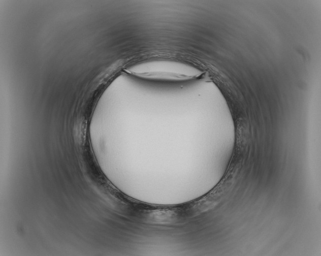 X0000112200168200909181541