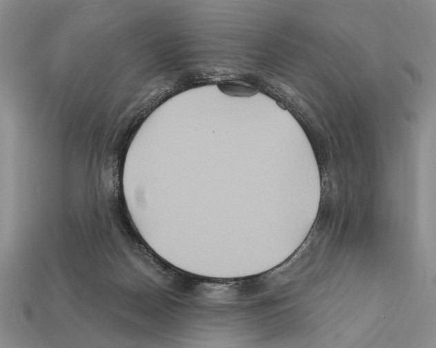 X0000112200170200909181541