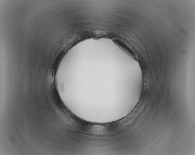 X0000112200176200909181541