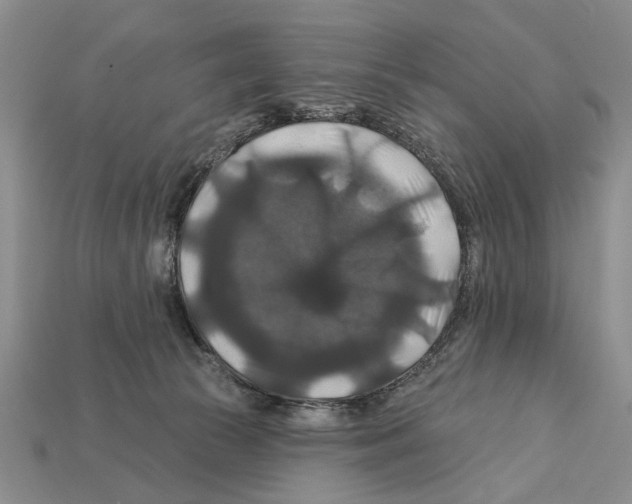 X0000112200177200909181541