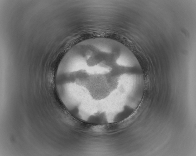 X0000112200178200909181541
