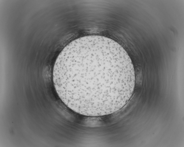 X0000112200179200909181541