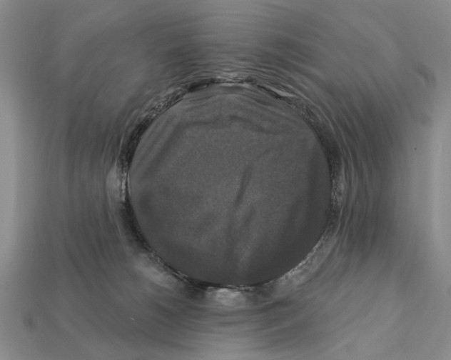X0000112200180200909181541