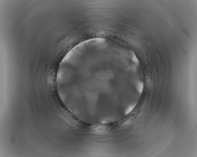 X0000112200181200909181541