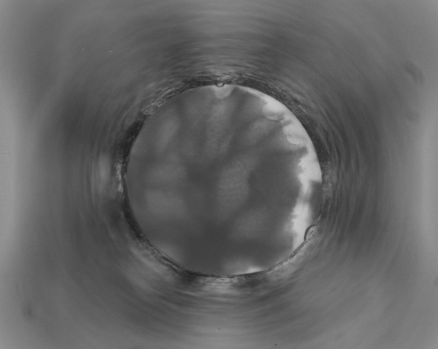X0000112200182200909181541