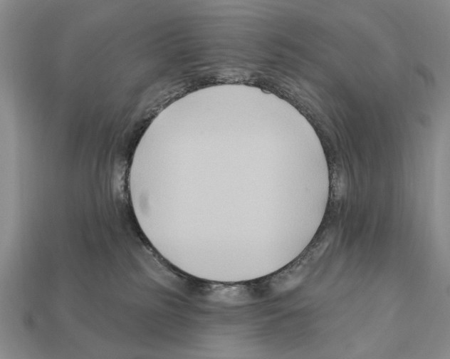 X0000112200185200909181541