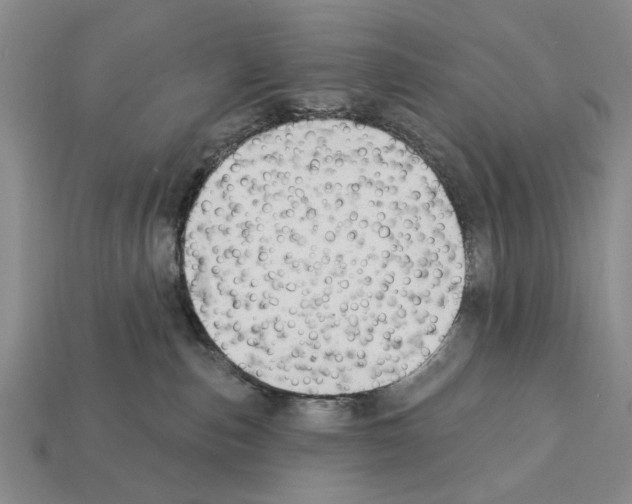 X0000112200187200909181541