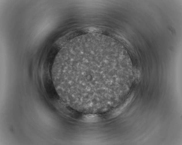 X0000112200189200909181541