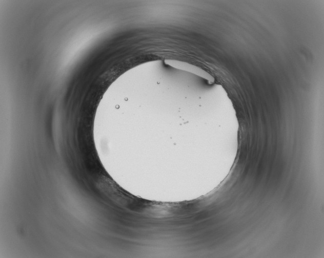 X0000112200190200909181541