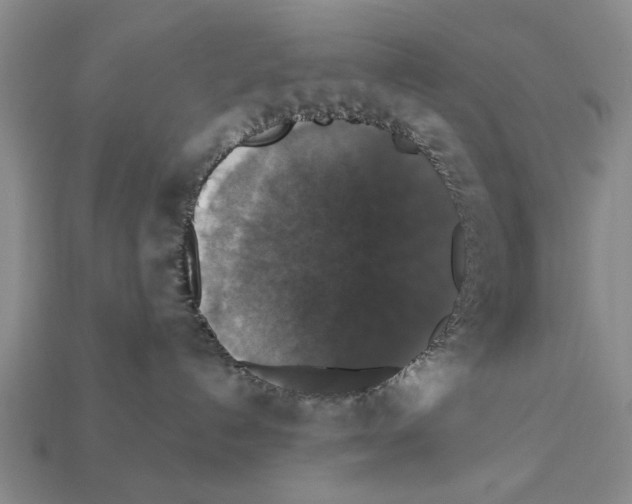 X0000112200192200909181541