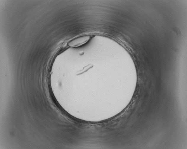 X0000112200193200909181540