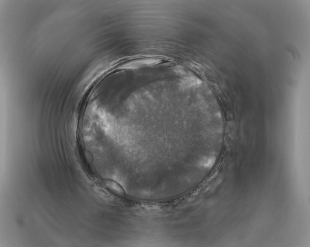 X0000112200194200909181540