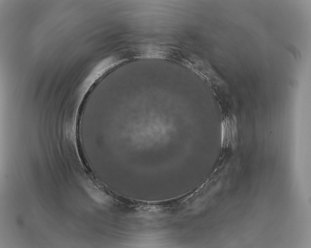 X0000112200195200909181540