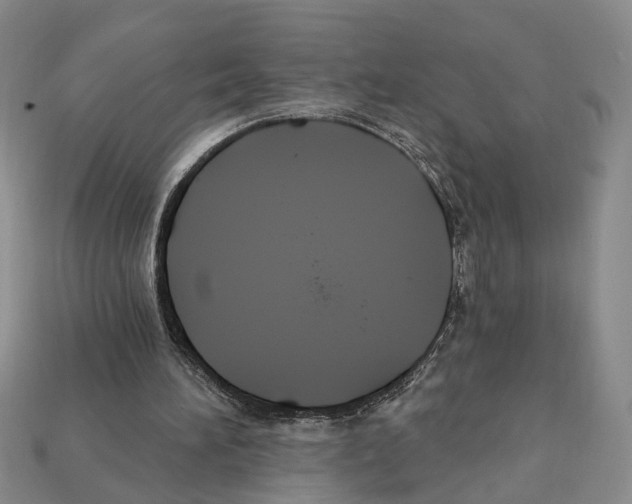 X0000112200196200909181540