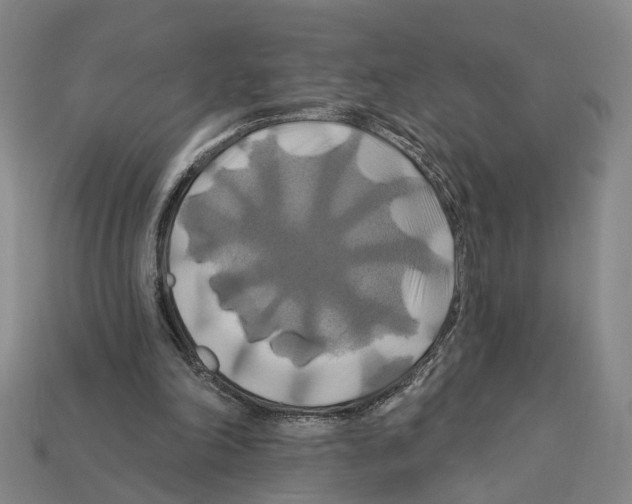 X0000112200198200909181540