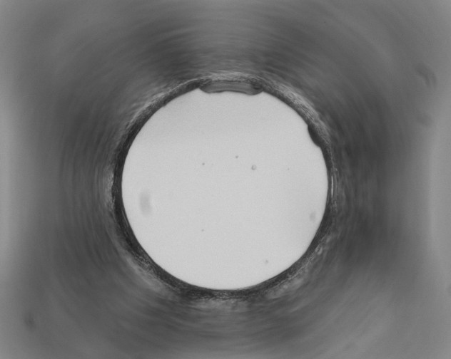 X0000112200201200909181540