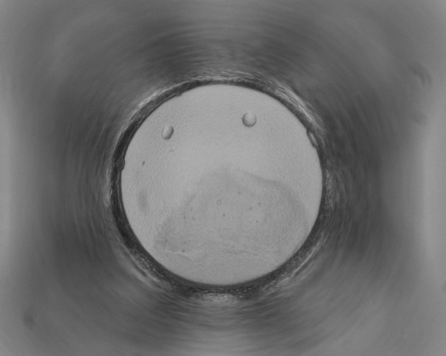X0000112200203200909181540