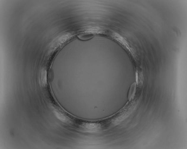 X0000112200205200909181540