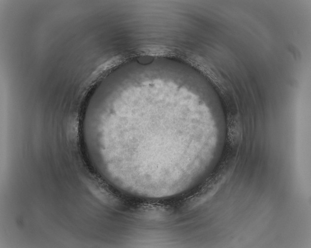 X0000112200207200909181540