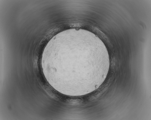 X0000112200209200909181540