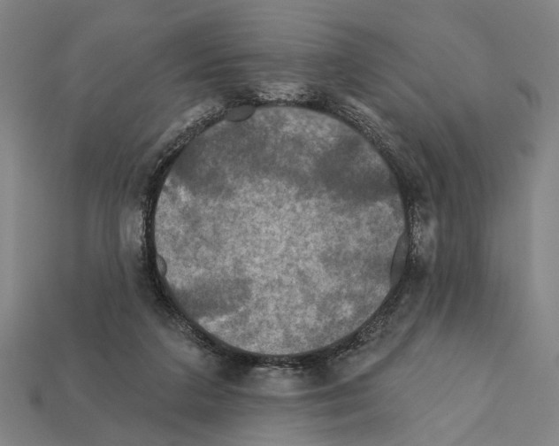 X0000112200211200909181540