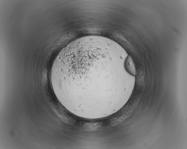 X0000112200213200909181540