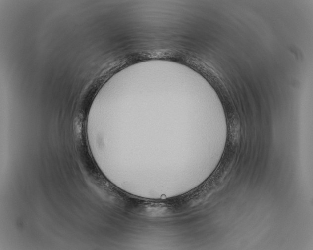 X0000112200214200909181540