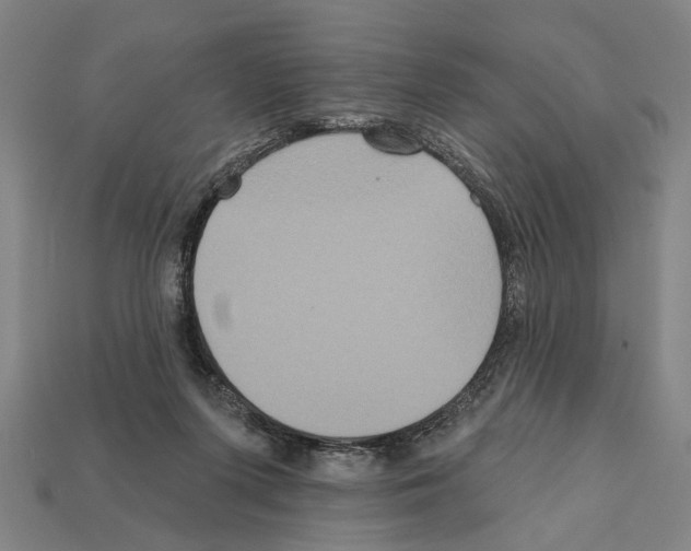 X0000112200215200909181540
