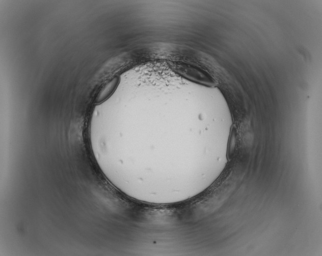 X0000112200217200909181540