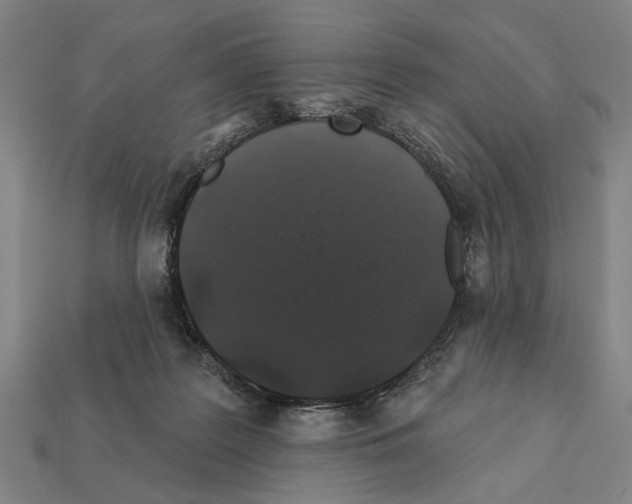 X0000112200219200909181540