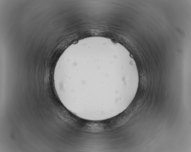 X0000112200221200909181540