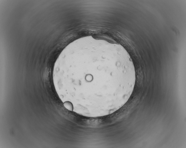 X0000112200225200909181540