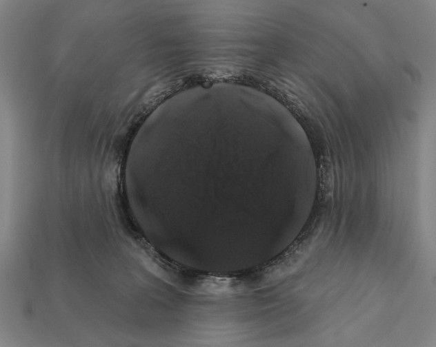 X0000112200227200909181540