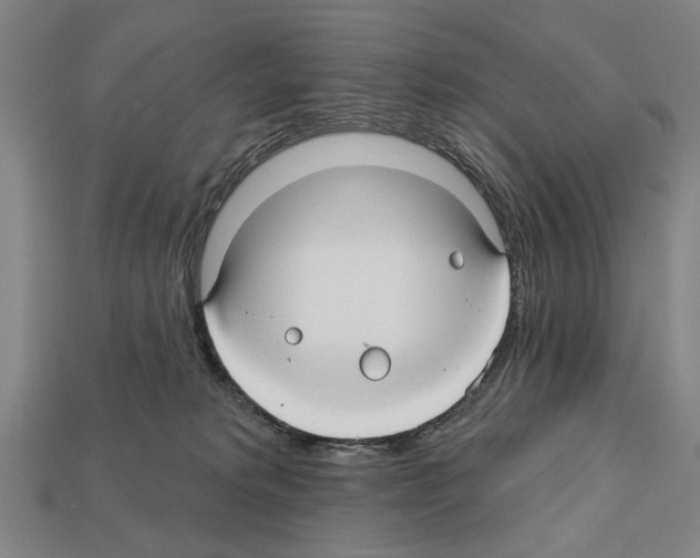 X0000112200229200909181540