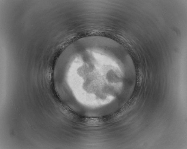 X0000112200230200909181540
